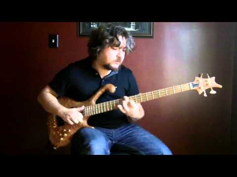 FPE-TV Way Huge Pork Loin Pedal on Bass Guitar