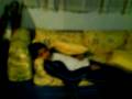 videos de Magia