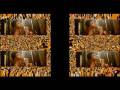 Ringa Ringa (from the Slumdog Millionaire soundtrack)