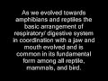 Re: Evolution : Fairytale(2)