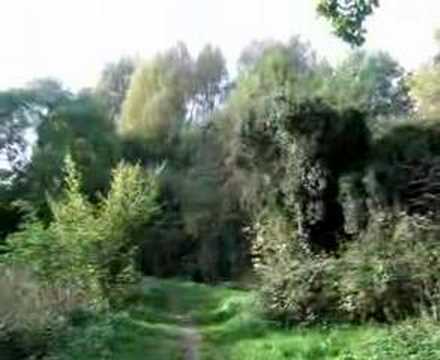 Norton common, Letchworth