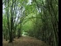 Norton common, Letchworth Norton common, Letchworth