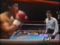 Pepe Reilly Boxing Highlights