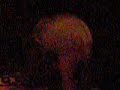 Lucie Got Pied Lucie Got Pied