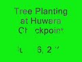 Planting Trees Against 40 Years of Occupation