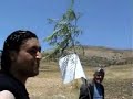 Planting Trees Against 40 Years of Occupation