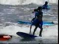 SURFING INDUSTRY
