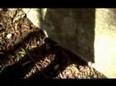 This is the video clip for the song Sleeping Hunter by Blue Morpho...Come and visit the myspace page at :www.myspace.com/bluemorphobandThanks for listening... enjoy...