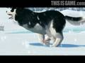 Husky Express Trailer