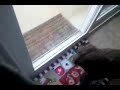 Qik - Mobile video by Braden Jones