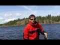 Prespawn Sight fishing with Solar Bat NOCS Sunglasses