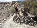 Fruita, CO -- Kokopelli trail system