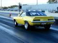 COPO Camaro