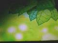 videos de pokemon mystery dungeon time/darkness