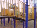 Cleo and Juno at the Park Cleo and Juno at the Park