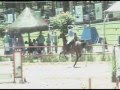 Vídeo Guarupe