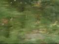 Come Run With Me in Wolthausen
