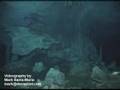 Nahooch Cave on the Yucatan Peninsula