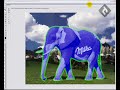 Tutorial Photoshop : Pasear un elefante Tutorial Photoshop : Pasear un elefante