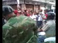 los escualidos escondidos 9 los escualidos escondidos 9