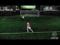 Fabregas kills FIFA 09