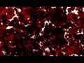 videos de Storm Warning Teaser