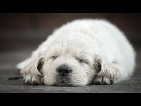 how to eliminate middle of night feeding