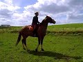 Jambette à cheval Jambette à cheval