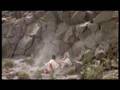  - MovieZen Video