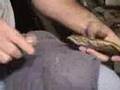 Florida Coral Newnan Part 2 of 5