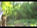 videos de Living in the woods