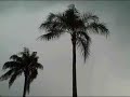 Feb 04 2007 - VID00010