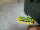 Music Lessons Music Lessons