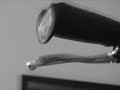 Ringing Ture
