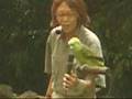 Singing Bird