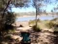 videos de a pomi Fauna