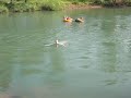 swing in vang vieng