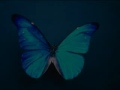 videos de I Will Rescue You/Chapter 7/