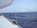 Flotilla Race Glavat to Korcula