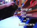 longcat plays piano with his cat - balthazara