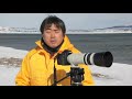 Parry Gripp – Lazy Harp Seal Has No Job