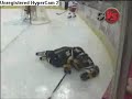 Hockey Hits