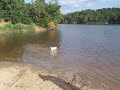 Poo searches for the stick