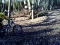 videos de Bryan and Steve jumping.mp4