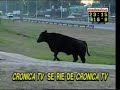 cronica-tv-se-rie-de-cronica-tv.html