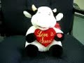 Singing Cow