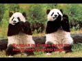 [ICC] Impacts of climate change in China and Hong Kong