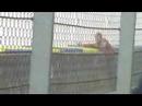 Crazy Dumbass - Le Mans Moto GP 2008 Crazy Dumbass - Le Mans Moto GP 2008