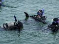 Second Dive