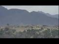 Pashtun tribes help secure Afghan border region - 26 Jan 08